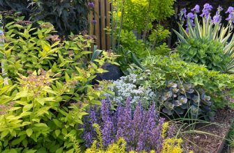 Lizzi’s Walla Walla-tuin – Groene Tuin