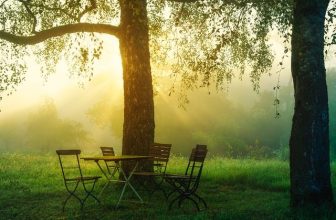 De perfecte tuinoverkapping voor elke buitenruimte