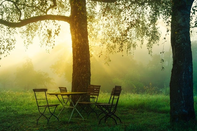 De perfecte tuinoverkapping voor elke buitenruimte